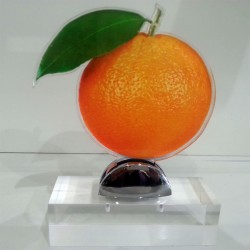 Premio naranja